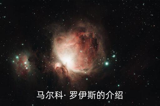 馬爾科· 羅伊斯的介紹