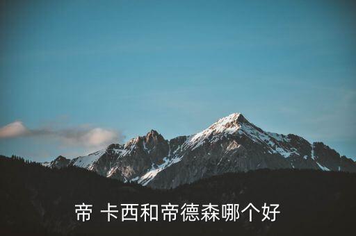 帝 卡西和帝德森哪個(gè)好