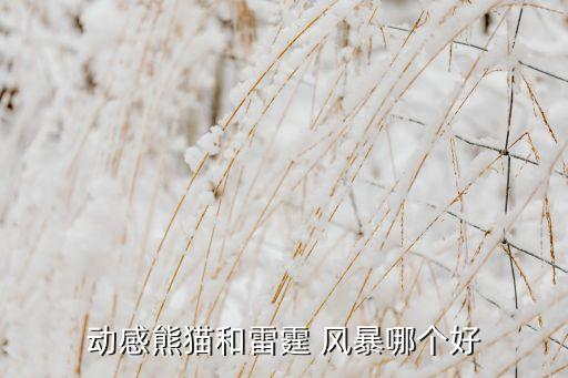 狂熱和風(fēng)暴哪個(gè)球隊強,雷霆風(fēng)暴和飛雷風(fēng)暴各有優(yōu)勢各有千秋