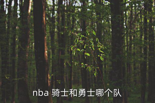 nba 騎士和勇士哪個(gè)隊