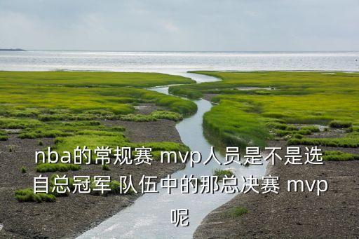 nba的常規賽 mvp人員是不是選自總冠軍 隊伍中的那總決賽 mvp呢