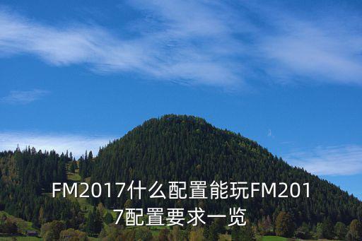 FM2017什么配置能玩FM2017配置要求一覽