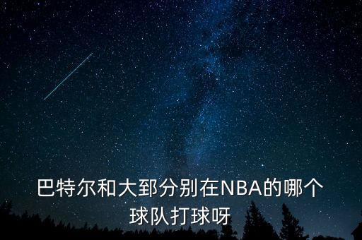  巴特爾和大郅分別在NBA的哪個(gè) 球隊打球呀