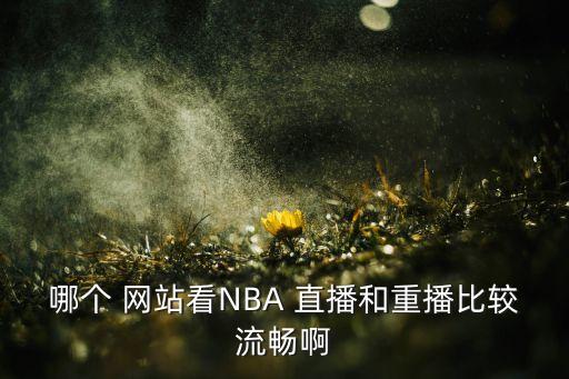 哪個(gè) 網(wǎng)站看NBA 直播和重播比較流暢啊