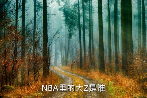 NBA里的大Z是誰(shuí)