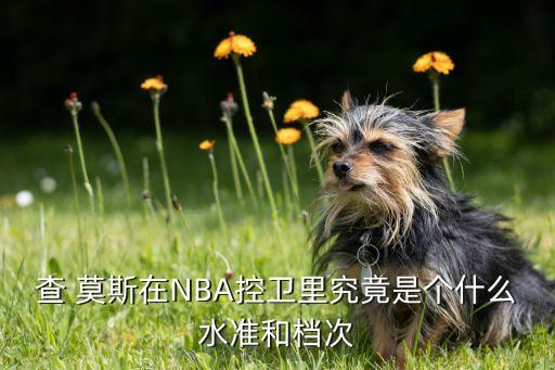 查 莫斯在NBA控衛里究竟是個(gè)什么水準和檔次