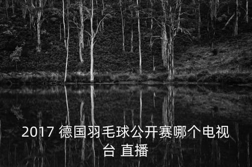 2017 德國羽毛球公開(kāi)賽哪個(gè)電視臺 直播