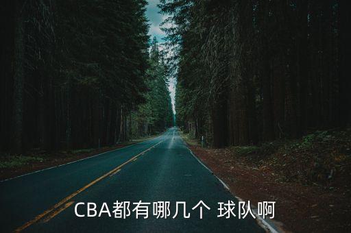 CBA都有哪幾個(gè) 球隊啊