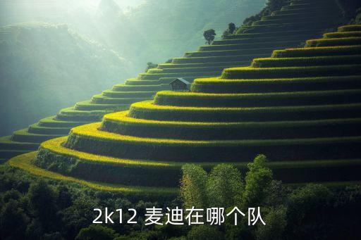 2k12 麥迪在哪個(gè)隊(duì)