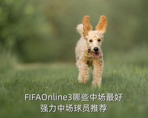 FIFAOnline3哪些中場(chǎng)最好強力中場(chǎng)球員推薦