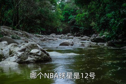 哪個(gè)NBA球星是12號