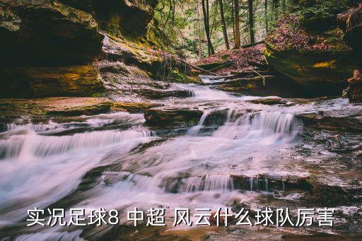 實(shí)況足球8 中超 風(fēng)云什么球隊(duì)厲害