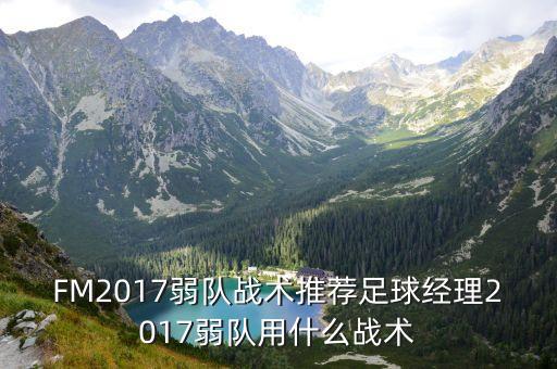 FM2017弱隊戰術(shù)推薦足球經(jīng)理2017弱隊用什么戰術(shù)