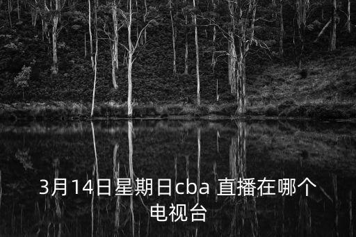 哪個(gè)臺直播廣東籃球,籃球大本營(yíng):直播回放