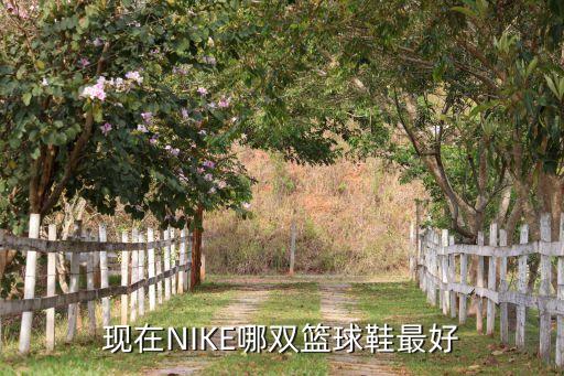 nike超頂頂級哪個(gè),耐克鞋系列回收再利用剩余空間再生產(chǎn)