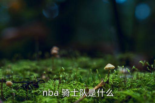 nba騎士隊是哪個(gè)城市,nba球隊克利夫蘭騎士team重建