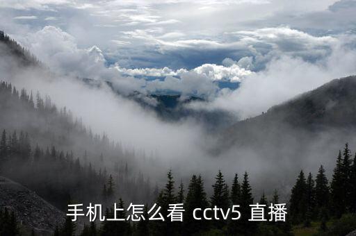 手機上怎么看 cctv5 直播