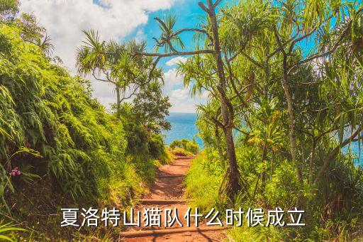  夏洛特山貓隊什么時(shí)候成立