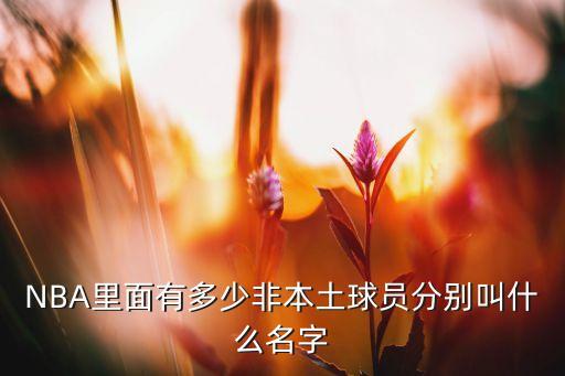 伊高斯是哪個(gè)球隊,托尼·帕克是第一個(gè)來(lái)自歐洲的國際球員