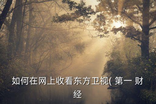 如何在網(wǎng)上收看東方衛(wèi)視( 第一 財(cái)經(jīng)