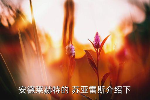 蘇亞雷斯哪個(gè)位置,馬里奧-蘇亞雷斯轉會(huì )佛羅倫薩隊