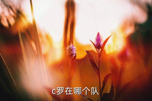 日職008代表哪個(gè)隊,c羅轉會(huì )曼聯(lián)10年后重返曼聯(lián)