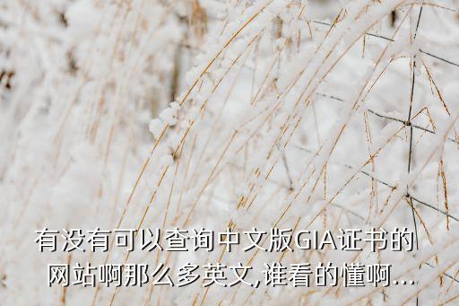 哪個(gè)網(wǎng)站可以查gia br,gia官方網(wǎng)站如何進(jìn)行查詢(xún)?