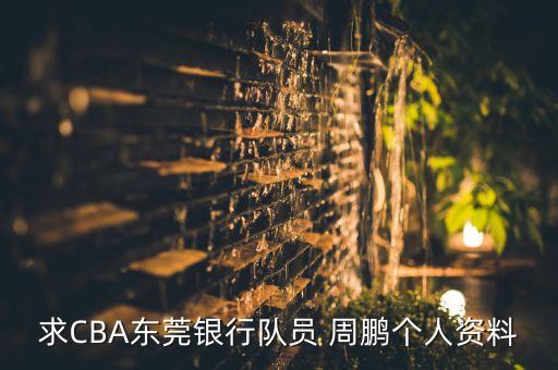 求CBA東莞銀行隊員 周鵬個(gè)人資料