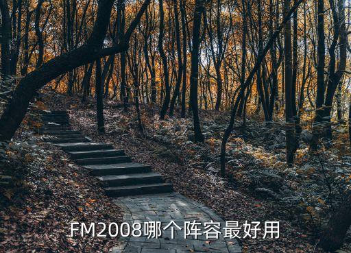 FM2008哪個(gè)陣容最好用