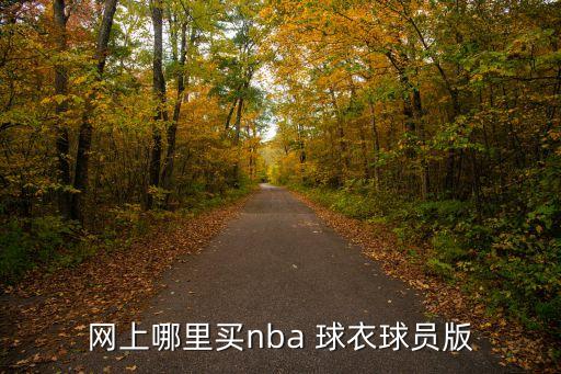 網(wǎng)上哪里買(mǎi)nba 球衣球員版