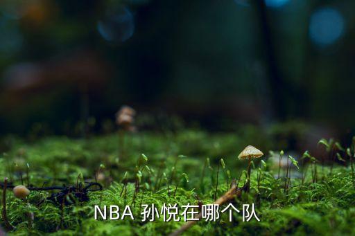 NBA 孫悅在哪個隊