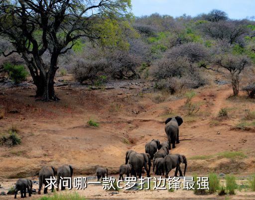 打邊路哪個(gè)賽季c羅好,足壇消息:羅本打右邊鋒拜仁打中路邊路