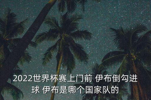 2022世界杯賽上門(mén)前 伊布倒勾進(jìn)球 伊布是哪個(gè)國家隊的