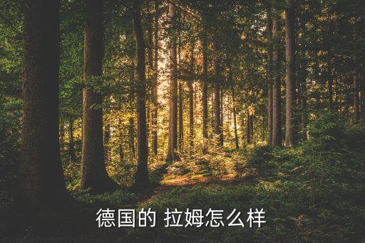 德國的 拉姆怎么樣