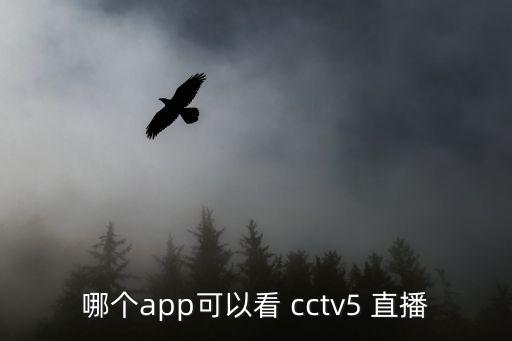 哪個(gè)電視直播cctv5,下載央視影音即可觀(guān)看五套直播