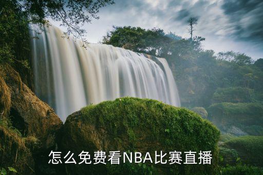 nba球賽哪個(gè)網(wǎng)站可以看,首頁(yè)即時(shí)更新nba新聞