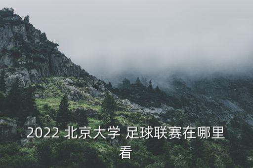 北京足球網(wǎng)站哪個(gè)好,北京大學(xué)足球league在國青校園舉行