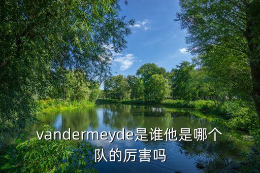 vandermeyde是誰(shuí)他是哪個(gè)隊的厲害嗎