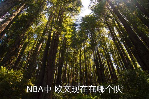 NBA中 歐文現(xiàn)在在哪個隊