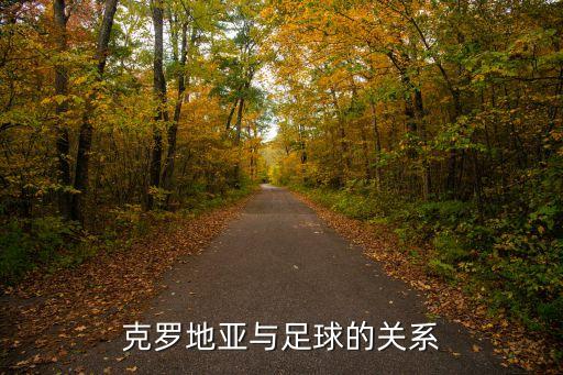 貝爾格萊德紅星是哪個(gè)國(guó)家的足球隊(duì),南聯(lián)盟兩足球隊(duì)勢(shì)均力敵