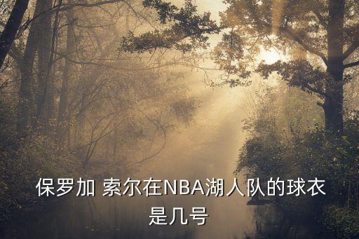  保羅加 索爾在NBA湖人隊的球衣是幾號