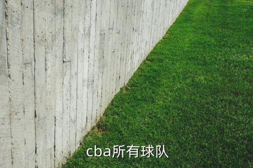  cba所有球隊