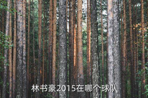  林書豪2015在哪個球隊(duì)