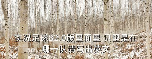 實(shí)況足球82.0版里面里 貝里是在哪一隊請寫(xiě)出英文