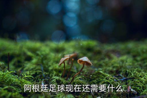 奎托哪個(gè)球隊,歐冠杯外圍賽:阿根廷爆冷淘汰曼聯(lián)奪冠