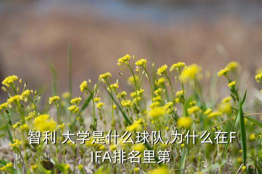  智利 大學(xué)是什么球隊,為什么在FIFA排名里第