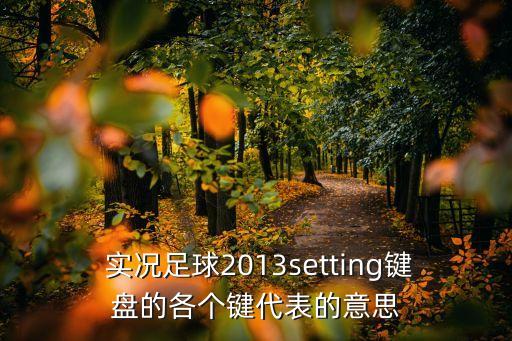  實況足球2013setting鍵盤的各個鍵代表的意思