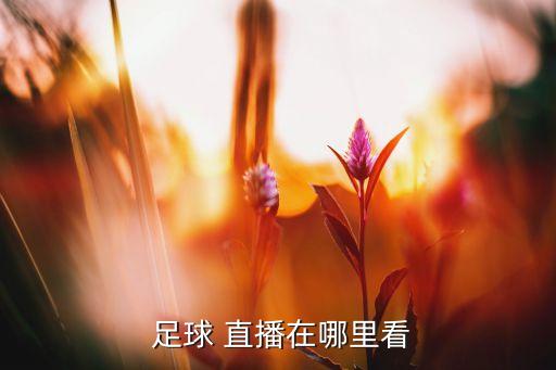 哪個(gè)直播平臺(tái)放足球,看比賽直播!這些足球?qū)毜?