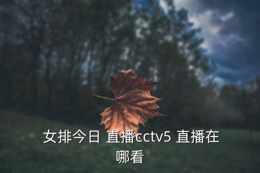  女排今日 直播cctv5 直播在哪看