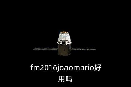  fm2016joaomario好用嗎